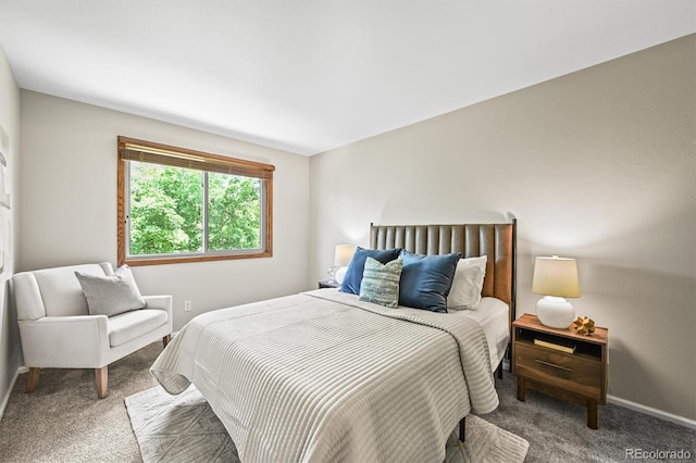 11072 Zephyr St, Broomfield, CO 80021 - carpeted bedroom featuring baseboards