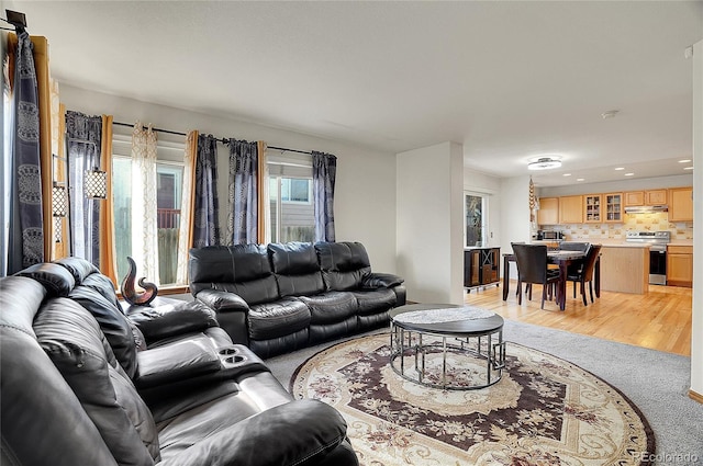 living room with light hardwood / wood-style flooring