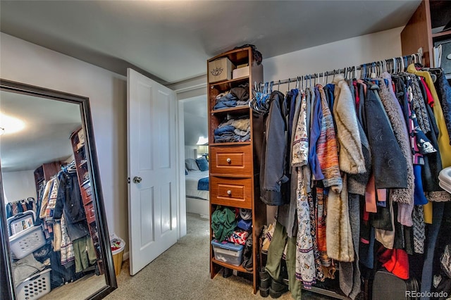 spacious closet featuring carpet flooring