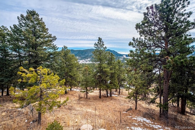 9189 Fallen Rock Rd, Conifer, CO 80433 - view of mountain backdrop