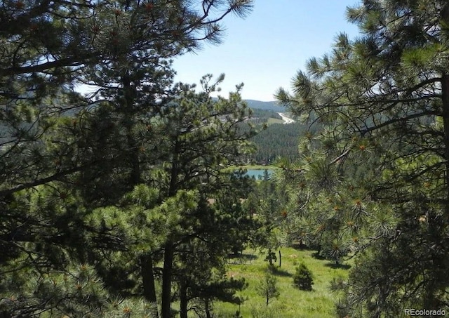 9189 Fallen Rock Rd, Conifer, CO 80433 - exterior space featuring a mountain backdrop and a heavily wooded area