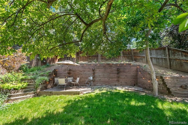 10262 Spotted Owl Ave, Highlands Ranch, CO 80129 - fenced backyard with a patio area