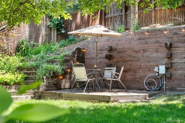 10262 Spotted Owl Ave, Highlands Ranch, CO 80129 - view of patio