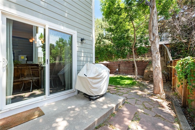 10262 Spotted Owl Ave, Highlands Ranch, CO 80129 - view of patio with a grill