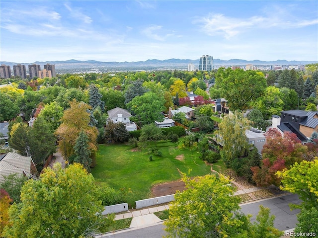 343 S Gaylord St, Denver, CO 80209 - photo 3