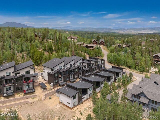 374 Lake Trl, Winter Park, CO 80482 - photo 39