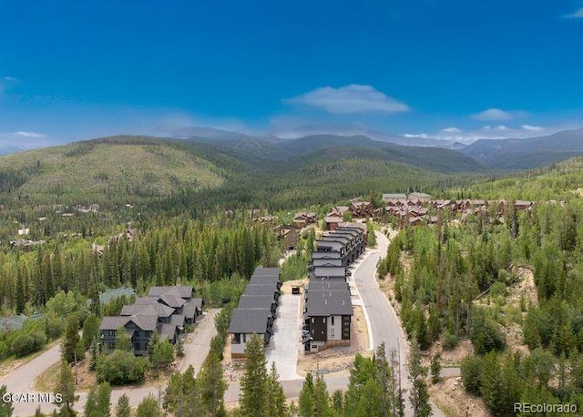 374 Lake Trl, Winter Park, CO 80482 - photo 42