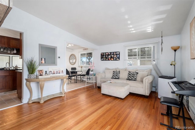 living room featuring hardwood / wood-style flooring and sink