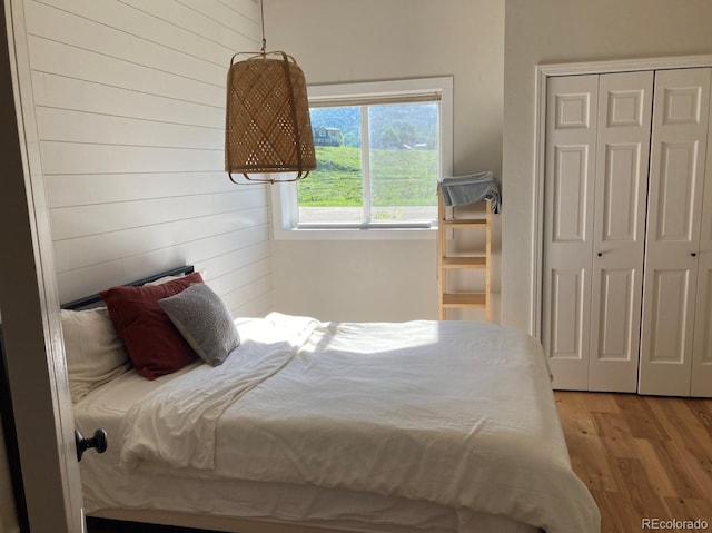 bedroom featuring a closet and light hardwood / wood-style floors