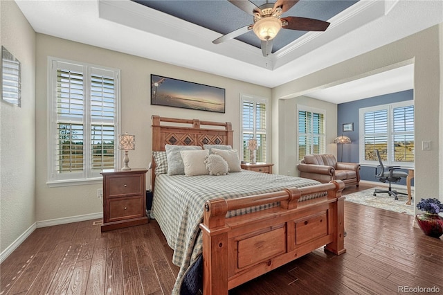 bedroom with baseboards, multiple windows, a tray ceiling, and dark wood-style flooring