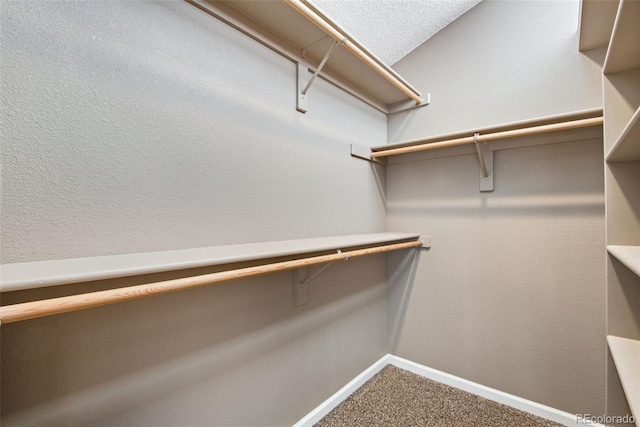 12535 Forest View St, Broomfield, CO 80020 - walk in closet with carpet floors