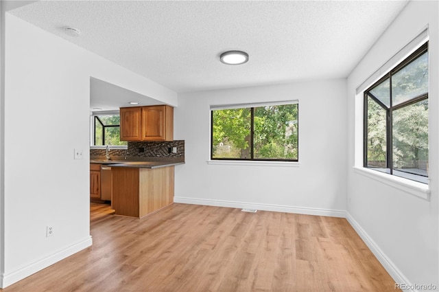 3871 E Euclid Ave, Centennial, CO 80121 - kitchen featuring light wood-type flooring, brown cabinets, a textured ceiling, tasteful backsplash, and dark countertops