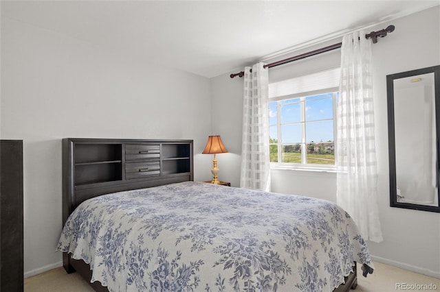 408 Sylvestor Trl, Highlands Ranch, CO 80129 - carpeted bedroom with baseboards