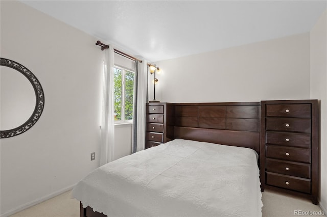 408 Sylvestor Trl, Highlands Ranch, CO 80129 - bedroom featuring light carpet and baseboards