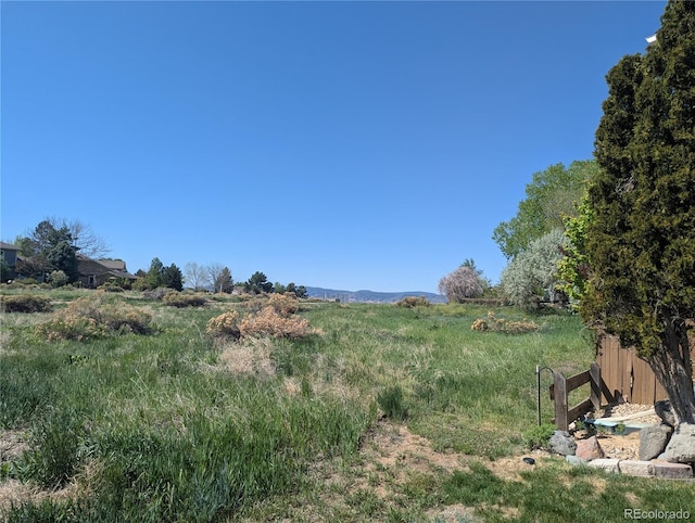 408 Sylvestor Trl, Highlands Ranch, CO 80129 - view of yard