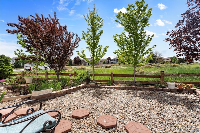 408 Sylvestor Trl, Highlands Ranch, CO 80129 - view of yard