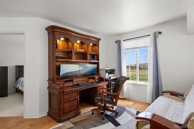 408 Sylvestor Trl, Highlands Ranch, CO 80129 - office space with light wood-style floors and baseboards