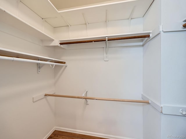 walk in closet featuring wood finished floors