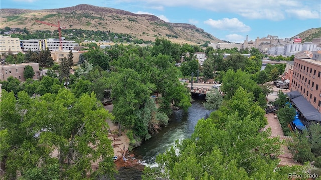 136 Burgess Ave, Golden, CO 80401 - photo 42