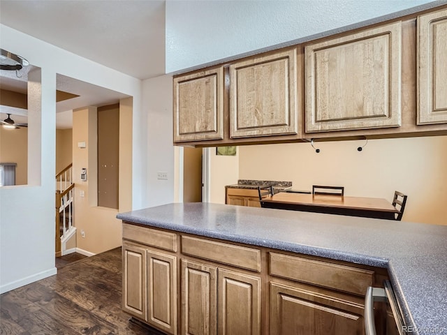 kitchen featuring dishwasher, dark hardwood / wood-style flooring, and ceiling fan