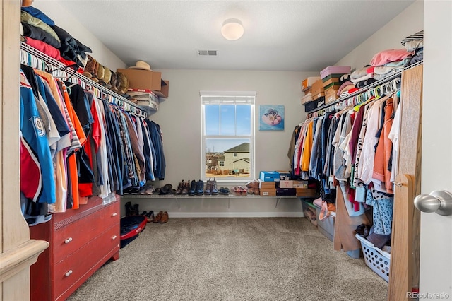 spacious closet with visible vents and carpet floors