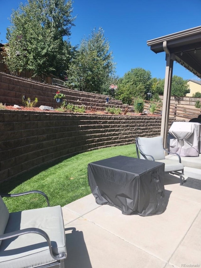 21028 E Saratoga Ave, Aurora, CO 80015 - view of patio with area for grilling