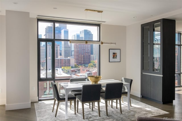 dining area featuring expansive windows, a city view, baseboards, and wood finished floors