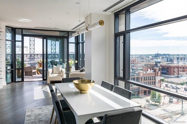 interior space featuring a view of city, floor to ceiling windows, plenty of natural light, and wood finished floors