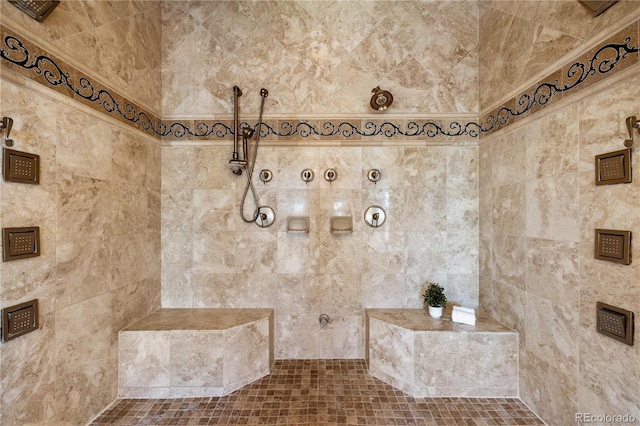 8417 High Ridge Ct, Castle Pines, CO 80108 - bathroom with tiled shower