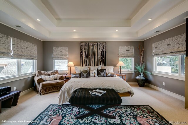 460 N Garfield St, Denver, CO 80206 - bedroom featuring carpet floors, multiple windows, a raised ceiling, and recessed lighting