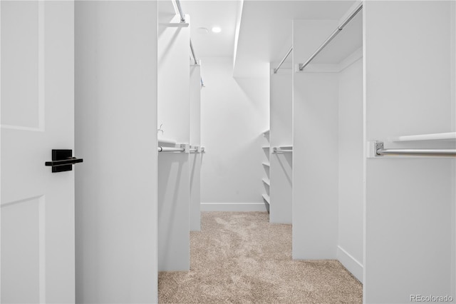 spacious closet with light carpet