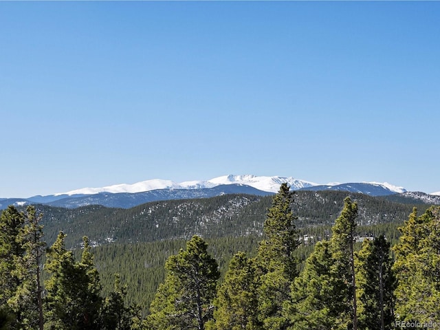 451 Harris Dr, Idaho Springs, CO 80452 - mountain view featuring a heavily wooded area