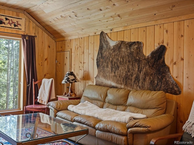 451 Harris Dr, Idaho Springs, CO 80452 - living area featuring wood ceiling, lofted ceiling, wooden walls, and plenty of natural light