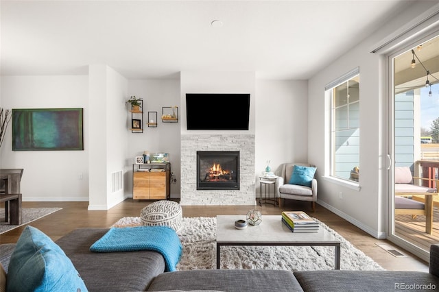 living area with wood finished floors, a fireplace, and a wealth of natural light