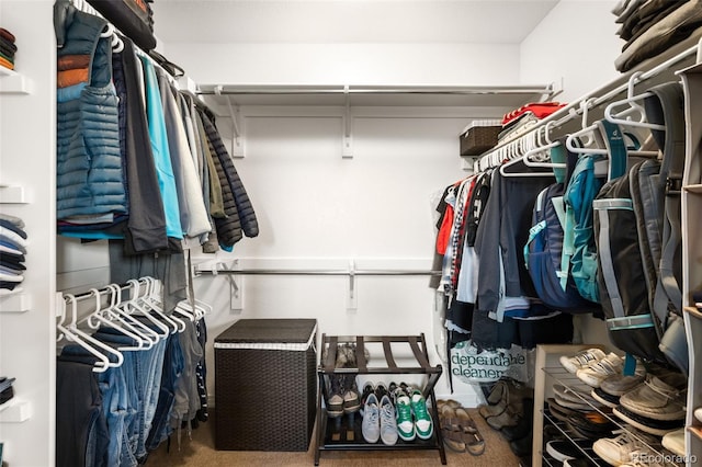 spacious closet featuring carpet floors