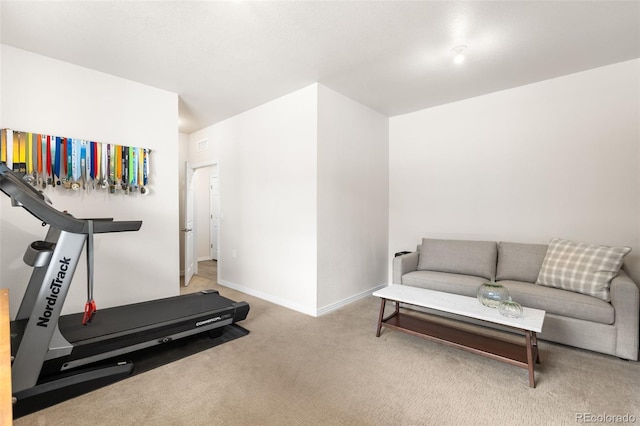 exercise area with baseboards and carpet floors