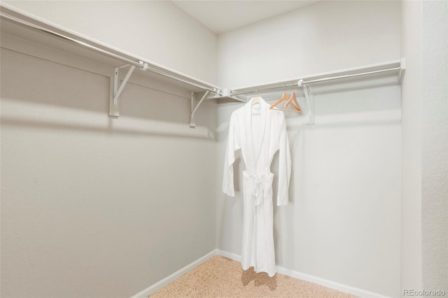 walk in closet featuring carpet floors