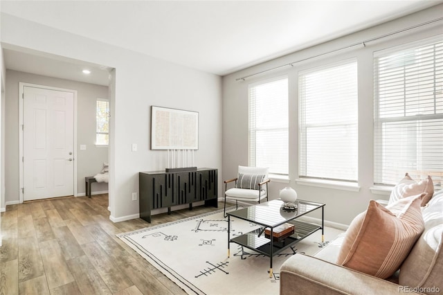 living room with light hardwood / wood-style flooring