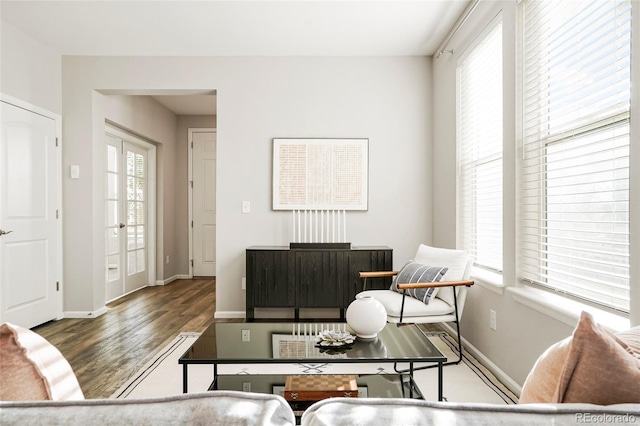 living room with wood-type flooring and french doors