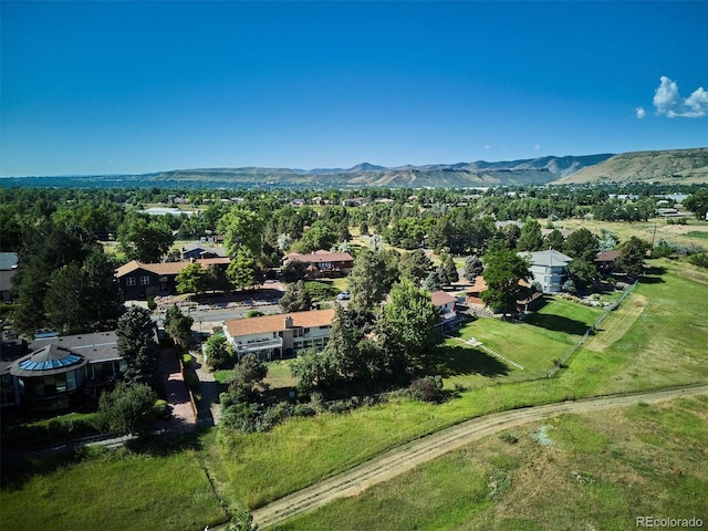 14895 W 58th Pl, Golden, CO 80403 - photo 17