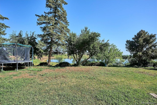 14895 W 58th Pl, Golden, CO 80403 - photo 16