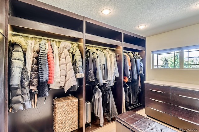 9470 S Silent Hills Dr, Lone Tree, CO 80124 - view of walk in closet