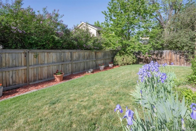 2935 Bow Line Pl, Longmont, CO 80503 - view of yard