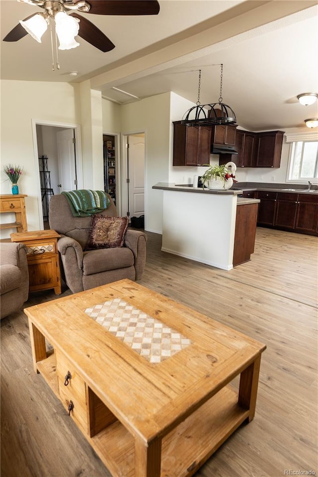3130 Elk Park Rd, San Luis, CO 81152 - living room featuring light wood-style floors and a ceiling fan