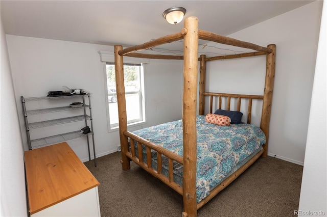 3130 Elk Park Rd, San Luis, CO 81152 - carpeted bedroom with baseboards