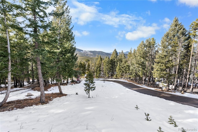 mountain view with a forest view