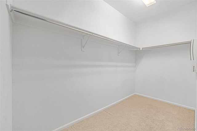 7777 E 23rd Ave Unit 1406, Denver, CO 80238 - spacious closet featuring carpet flooring