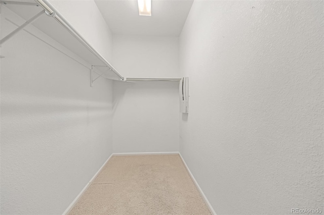 7777 E 23rd Ave Unit 1406, Denver, CO 80238 - spacious closet featuring carpet flooring