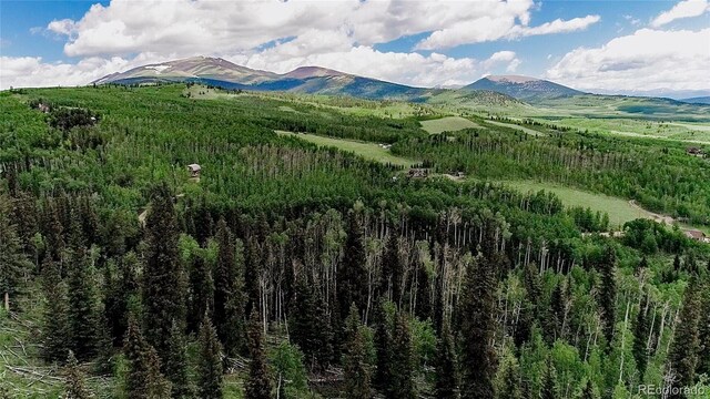 1047 Lumberjack Rd, Fairplay, CO 80440 - photo 1