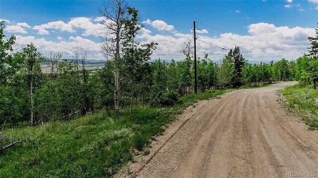 1047 Lumberjack Rd, Fairplay, CO 80440 - photo 3